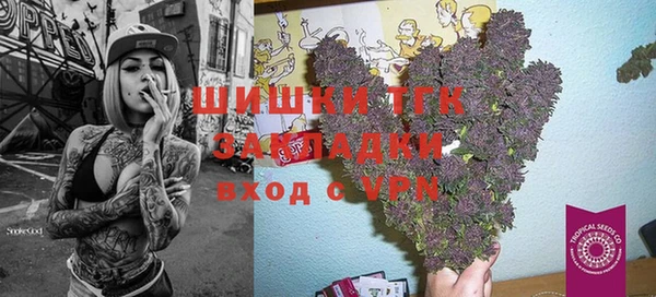 прущие грибы Алзамай