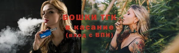 прущие грибы Алзамай