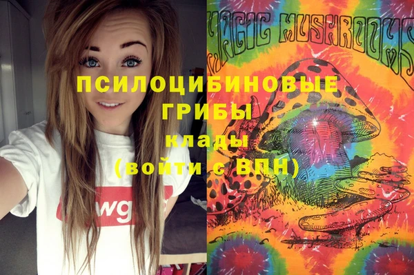 крисы Абинск