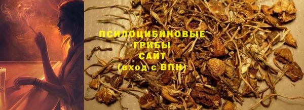 прущие грибы Алзамай