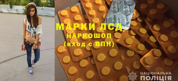 прущие грибы Алзамай