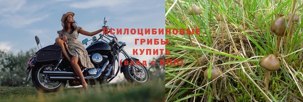 а пвп мука Алексин