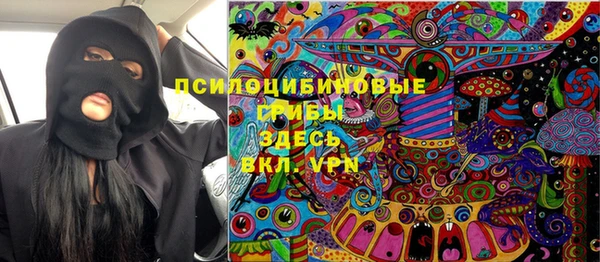 прущие грибы Алзамай