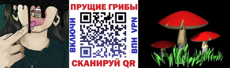 Псилоцибиновые грибы Psilocybine cubensis  где можно купить наркотик  Трёхгорный 